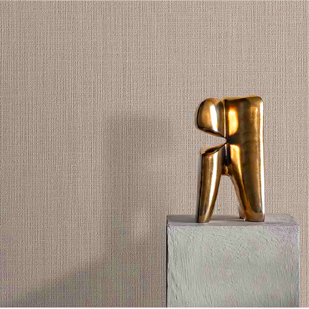 Image_Asset 8