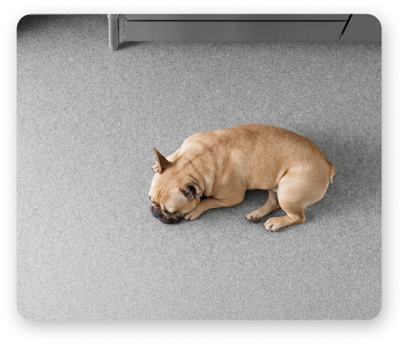 Scratch & Termite Proof